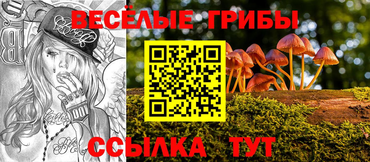 Псилоцибиновые грибы MAGIC MUSHROOMS  Псилоцибиновые грибы прущие грибы  Вход с VPN  Заинск 